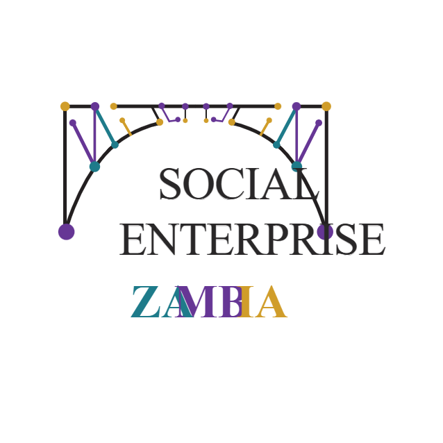 social-enterprise-zambia logo